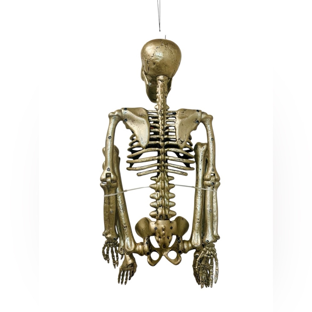 Hyde and EEK! 36" Posable Skeleton Halloween Decorative Prop - Picture 9 of 9